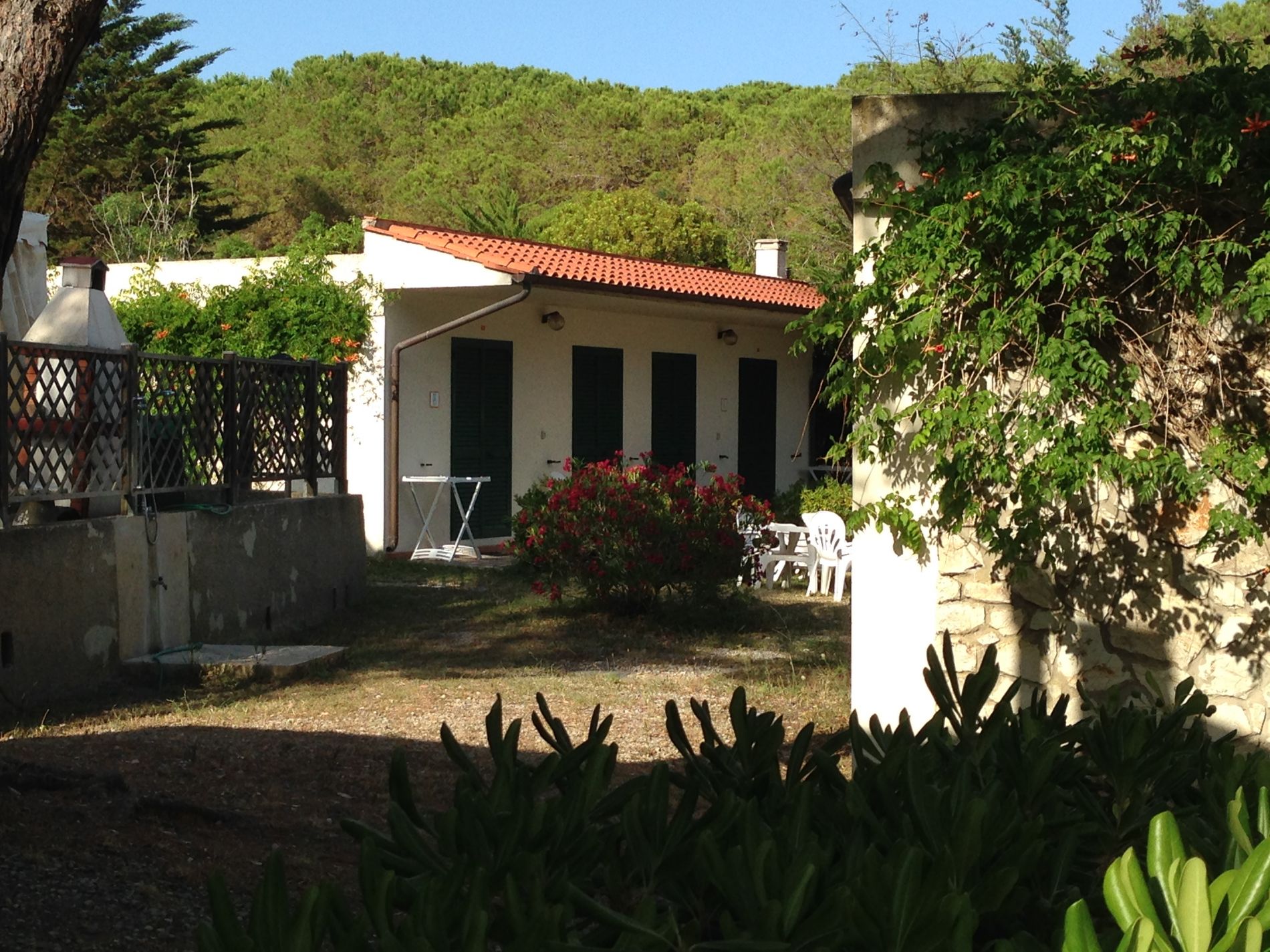 affitto bungalow Isola d'Elba